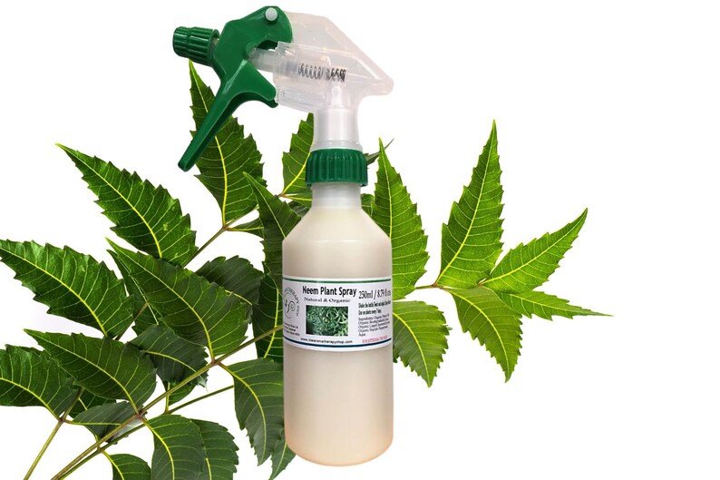 Organic Neem Plant Spray Etsy