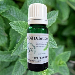 Nana Mint Essential Oil Dilution