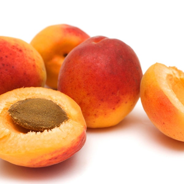 Apricot Kernel Oil