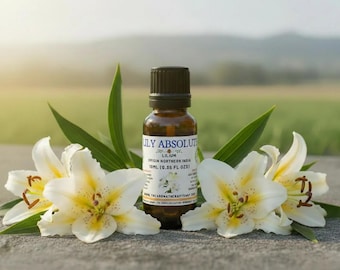 Lily Absolute / Origin: Northern India