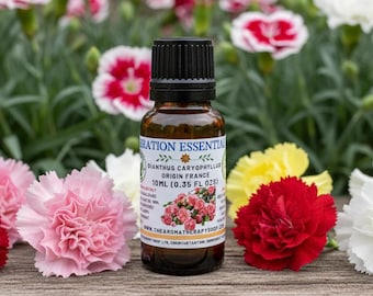 Carnation Pure Essential Oil