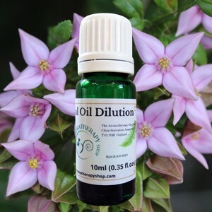Boronia Essential Oil Dilution