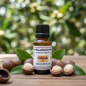Pure Macadamia Nut Oil bottle on natural outdoor surface with macadamia nut elements