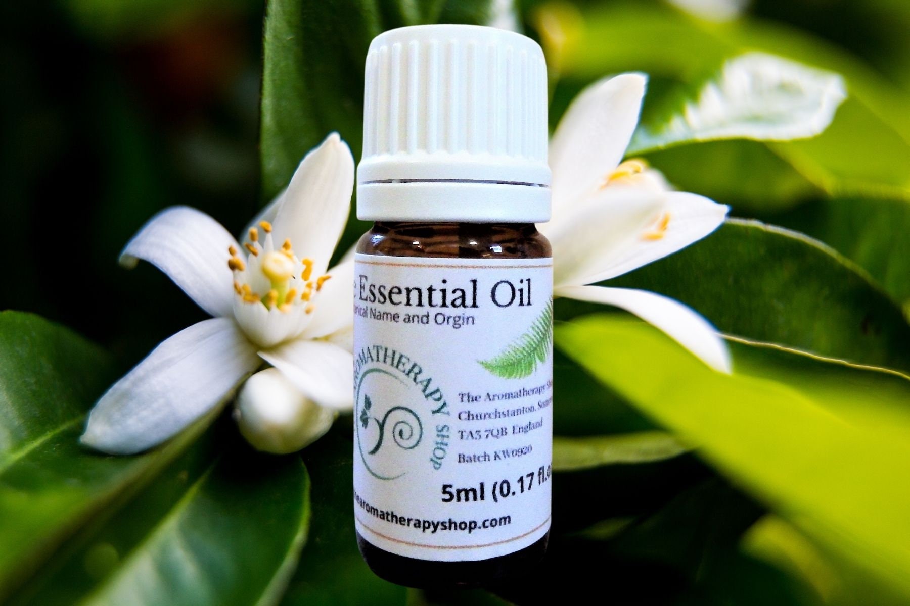 Essential Oils - Etsy Hong Kong
