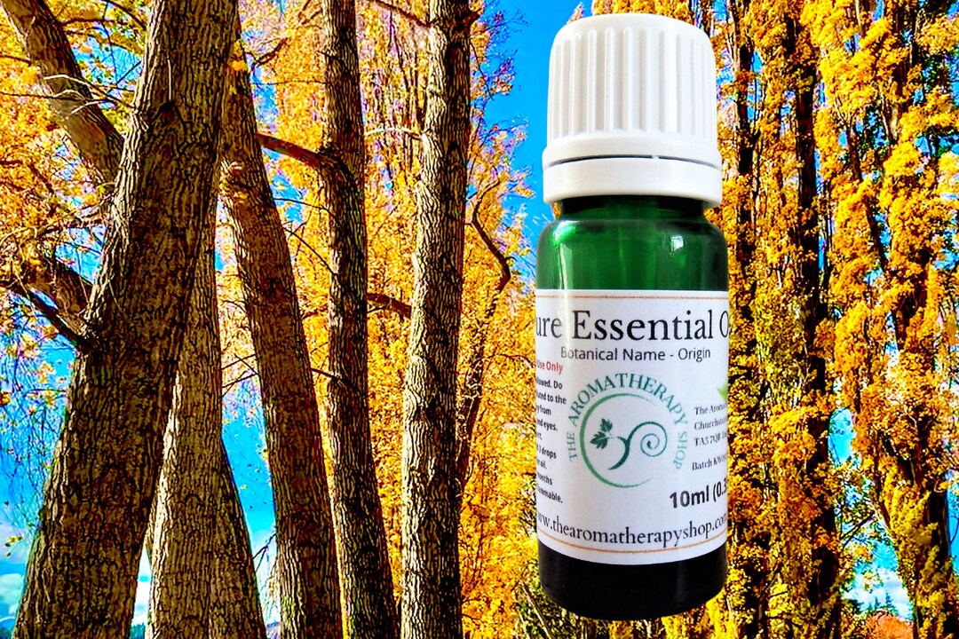 Balsam Poplar Essential Oil / Origin Canada Etsy Canada