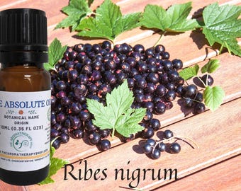 Perfumers Blackcurrant Bud Absolute  / pourable liquid form in DPG