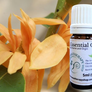 White Champaca Essential Oil / USDA Certified Organic