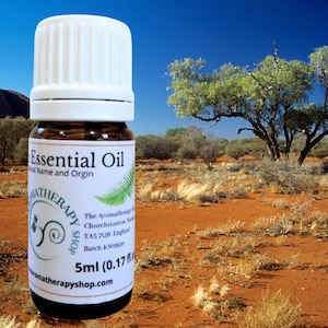 Australian Desert Rosewood Essential Oil / Rare