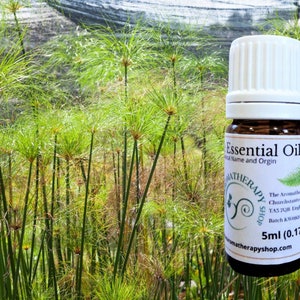 Papyrus Essential Oil / Origin India