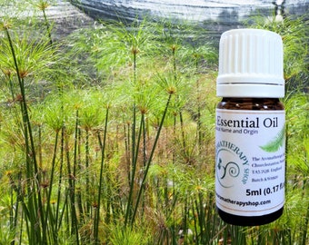 Papyrus Essential Oil / Origin India