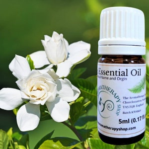 Plant Therapy Magnolia Flower Essential Oil 2.5 ml (1/12 oz) 100% Pure, Undiluted, Therapeutic Grade