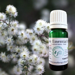 Kunzea (White Cloud) Essential Oil / Origin Tasmania