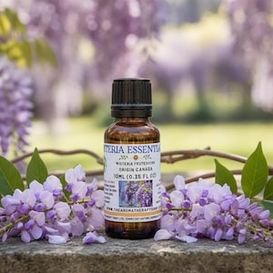 Olio essenziale di glicine / Origine Canada