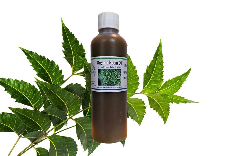 Pure Organic Neem Oil / Natural Insect Repellent Etsy