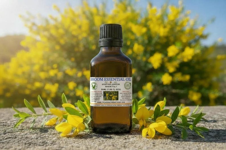 Broom Essential Oil - Correct Botanical Name