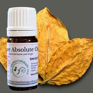 Huile absolue de tabac / Chaude et aromatique
