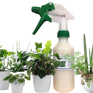 Organic  Plant Spray Refill  / Keeps your house plants healthy!