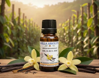 Vanilla Absolute Oil / Origin Madagascar