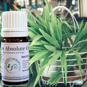 Vetiver Absolute Oil / USDA Certified Organic