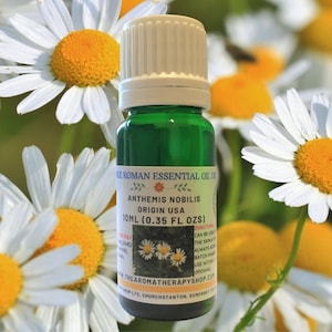 Chamomile (Roman) Essential Oil Dilution