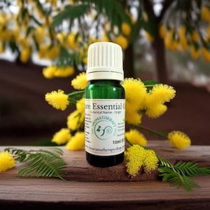 Mimosa Essential Oil / Origin Australia