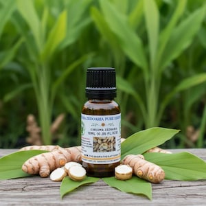 Circuma Zedoaria Essential Oil (also known as White Turmeric)