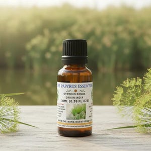 Olio essenziale di papiro / Origine India