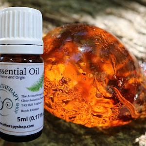 Amber Resin Oil / Woody, Smoky and Leathery