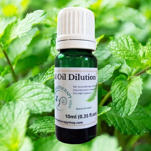 Balm Mint Bush Essential Oil Dilution (Australian)
