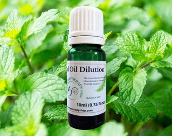 Balm Mint Bush Essential Oil Dilution (Australian)