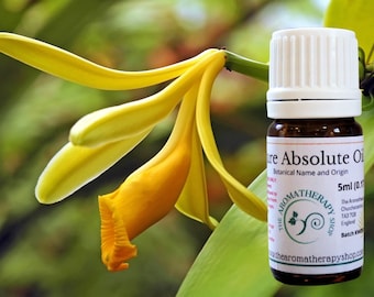 Vanilla Absolute Oil / USDA Certified Organic