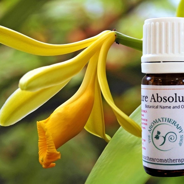 Vanilla Absolute Oil / USDA Certified Organic