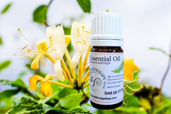 Honeysuckle essential oil discount
