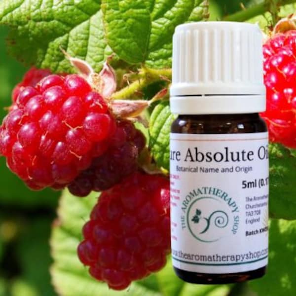 Raspberry Leaf Absolute  / Origin France