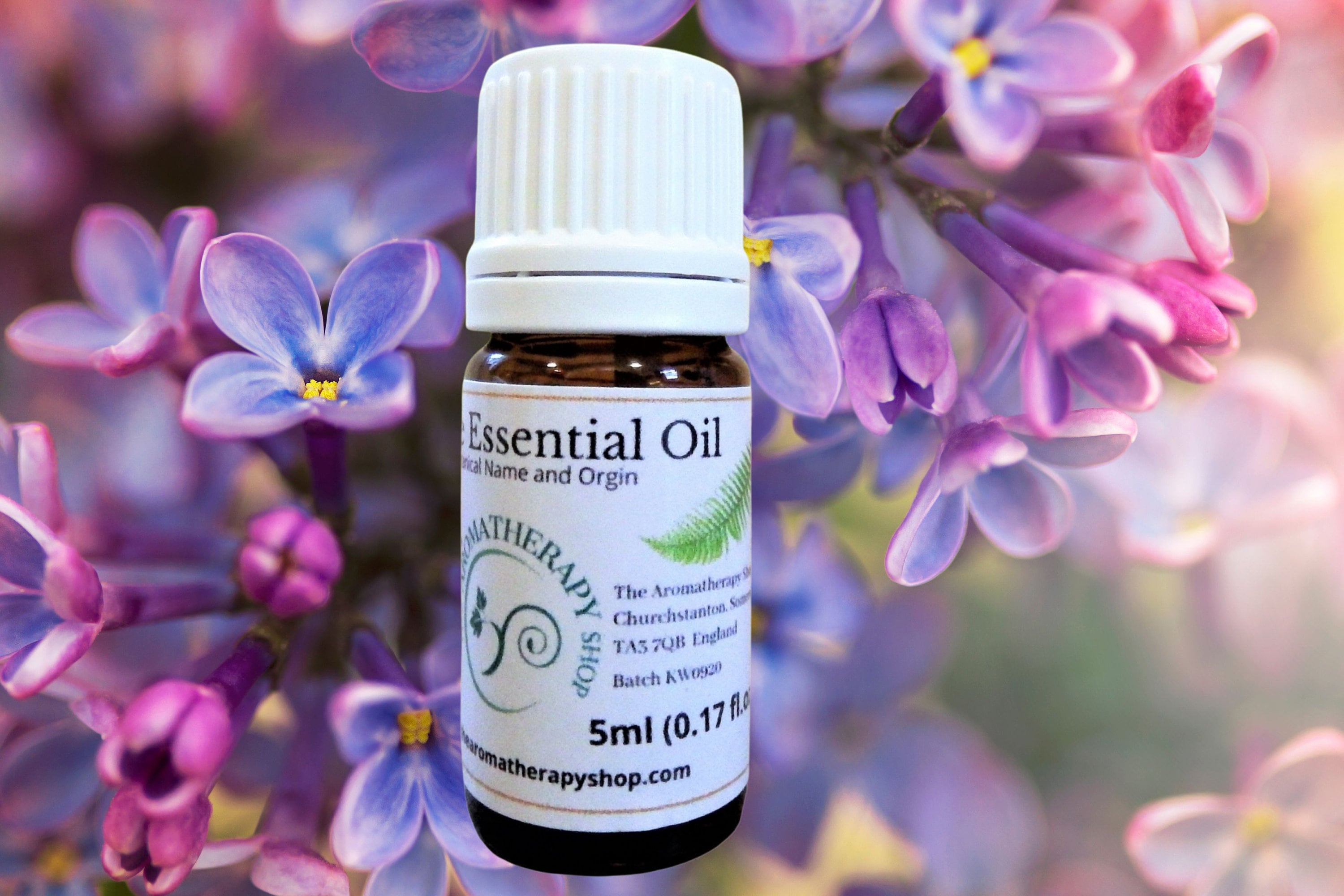 Lilac Absolute Organic - Syringia vulgaris Essential Oil