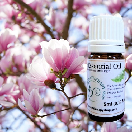 White Magnolia FLOWER Essential Oil magnolia Grandiflora Etsy