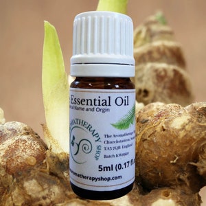 Galangal Pure Essential Oil