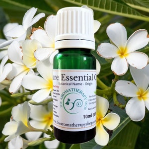 Indonesian Frangipani Essential  Oil / Hard to find