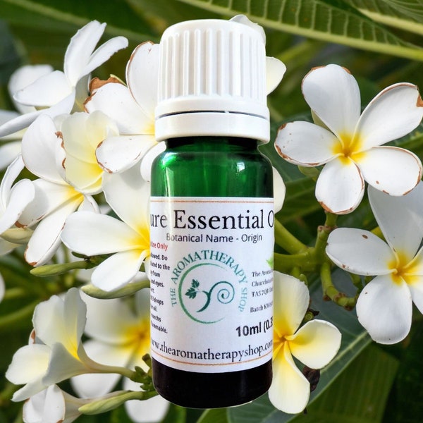 Frangipani Essential  Oil / Origin Northern India