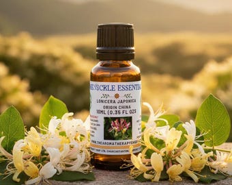 Chinese Honeysuckle Essential Oil / Lonicera japonica