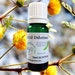 see more listings in the Essential Oil Dilutions section
