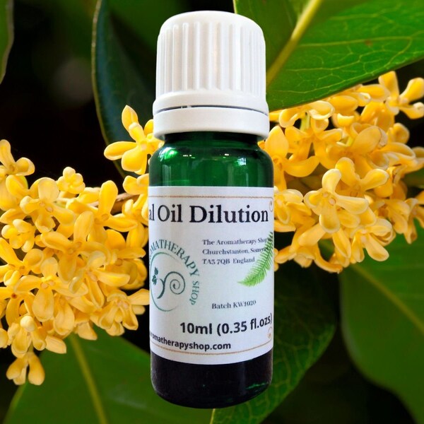 Osmanthus ätherisches Öl-Verdünnung