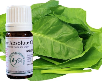Spinach Leaf Absolute Oil / Origin: China