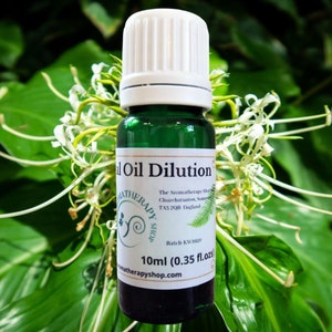 Kapur Kachari Essential Oil Dilution / Rare and hard to find