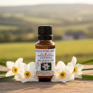 Könnte beinhalten: Eine braune Glasflasche mit ätherischem Öl von Narcissus Pure Absol, mit schwarzem Verschluss, umgeben von weißen Narzissen mit gelben Zentren. Das Etikett lautet "Narcissus Poeticus Origin France 10ml (0,35 FL oz)". Der Hintergrund ist ein verschwommenes grünes Feld.
