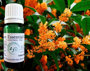 Aceite esencial de Osmanthus / Origen China