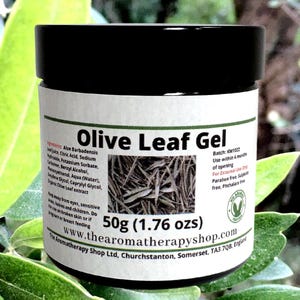 Olivenblatt Kräutergel