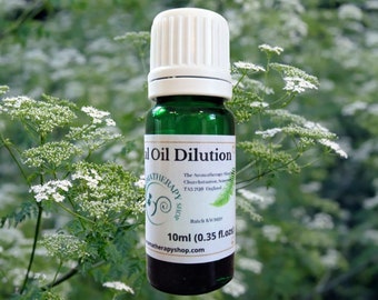 Galbanum Essential Oil Dilution