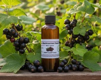 Aceite de semilla de grosella negra