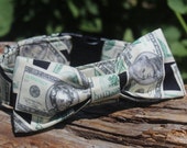 Dollar bill dog collar. money dog collar cash martingale | Etsy